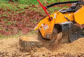 How Our Tree Care Process Works  in  Swissvale, PA