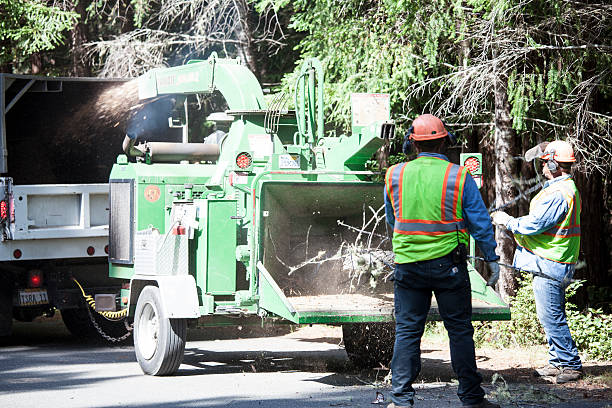 Best Hazardous Tree Removal  in Swissvale, PA